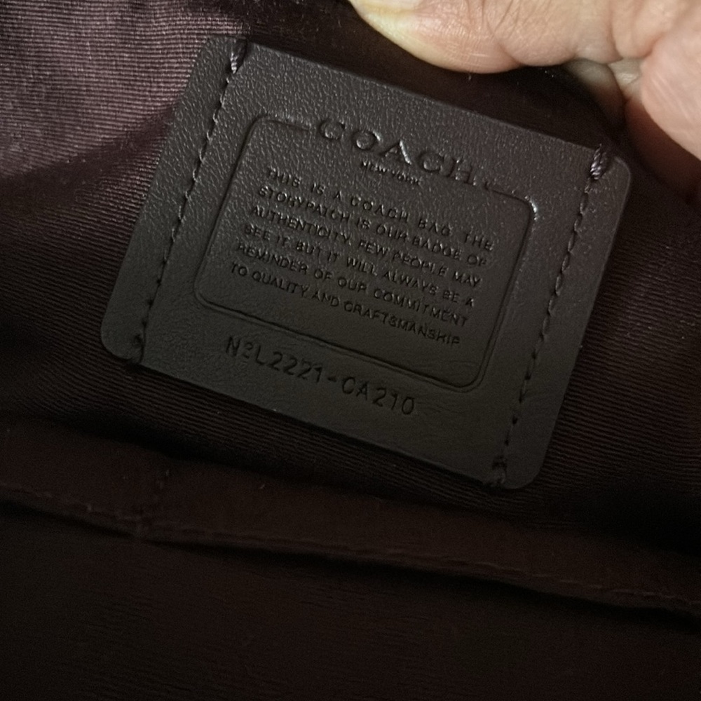 Nyl Ellis Back Pack Coach View 6